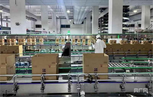 新質造零碳工廠 智慧酒香飄出，軟件定義釀造未來