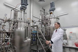 投資迷途 2500萬投資續(xù)命藥，兩年市值蒸發(fā)2億美元的警示